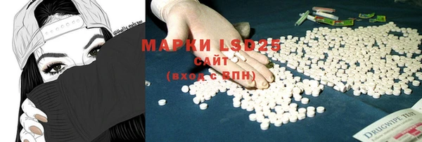 ГАЛЛЮЦИНОГЕННЫЕ ГРИБЫ Дмитров