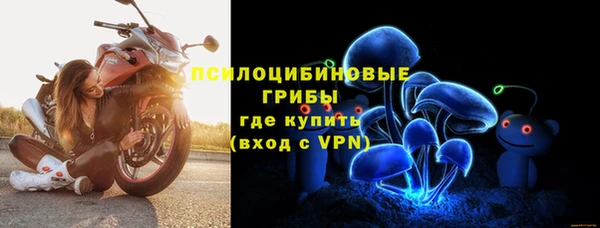 ГАЛЛЮЦИНОГЕННЫЕ ГРИБЫ Дмитров