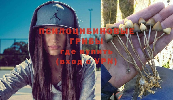 ГАЛЛЮЦИНОГЕННЫЕ ГРИБЫ Дмитров
