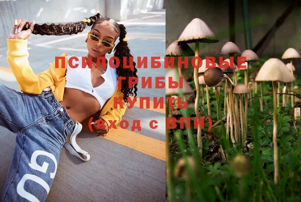 mdpv Дмитровск