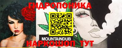 дурь Дубна