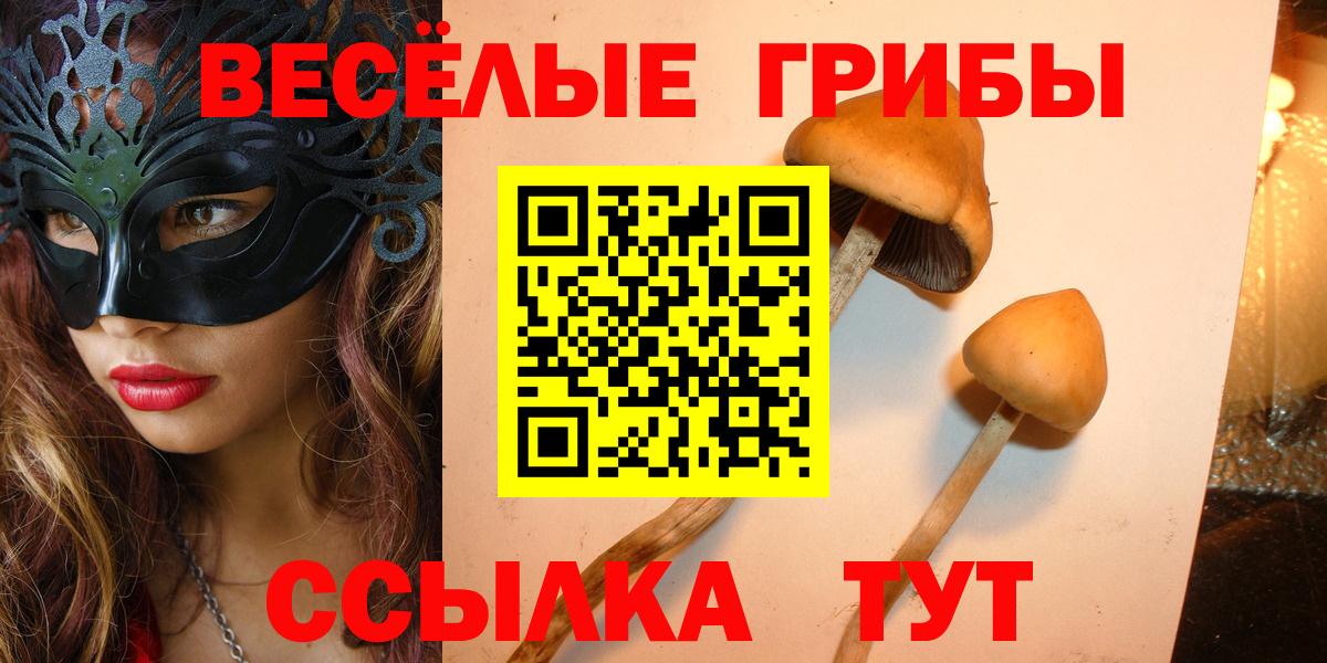 Галлюциногенные грибы мухоморы Радужный